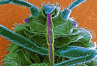 《FF7重制版》位居FF系列Steam单人玩家峰值第二